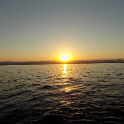 フィッシングボート空風(そらかぜ) 釣果