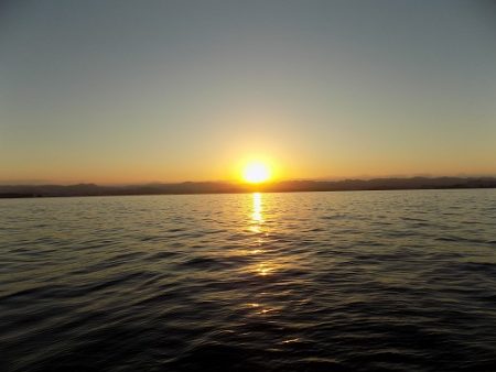 フィッシングボート空風(そらかぜ) 釣果