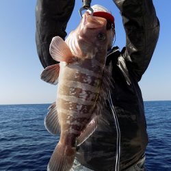 フィッシングボート空風(そらかぜ) 釣果