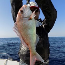 フィッシングボート空風(そらかぜ) 釣果