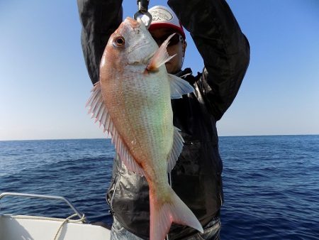 フィッシングボート空風(そらかぜ) 釣果