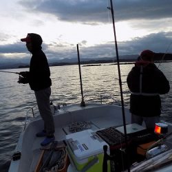 フィッシングボート空風(そらかぜ) 釣果