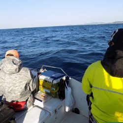 フィッシングボート空風(そらかぜ) 釣果