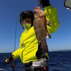 フィッシングボート空風(そらかぜ) 釣果