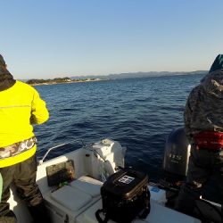 フィッシングボート空風(そらかぜ) 釣果