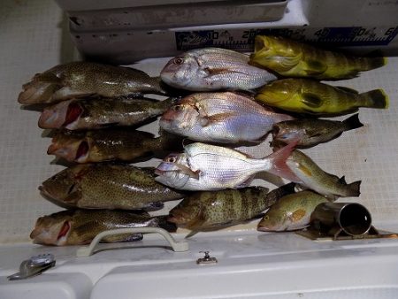 フィッシングボート空風(そらかぜ) 釣果