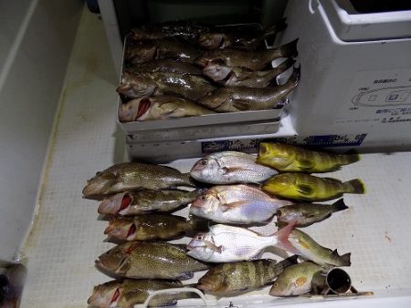 フィッシングボート空風(そらかぜ) 釣果