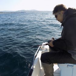 フィッシングボート空風(そらかぜ) 釣果