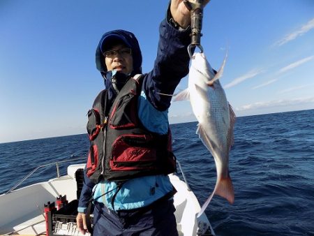フィッシングボート空風(そらかぜ) 釣果