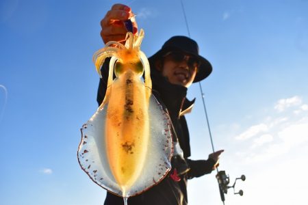 Fisherman Dreams DI 釣果