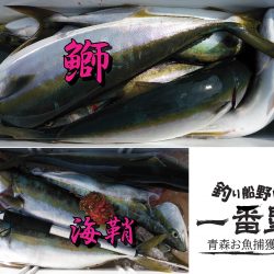 釣り船一番星 釣果