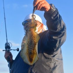 Fisherman Dreams DI 釣果