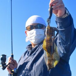 Fisherman Dreams DI 釣果