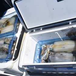 Fisherman Dreams DI 釣果