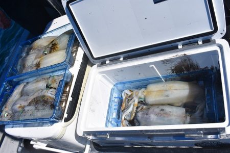 Fisherman Dreams DI 釣果