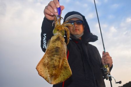 Fisherman Dreams DI 釣…