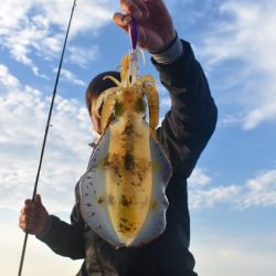 Fisherman Dreams DI 釣果