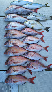 釣り舟　海竜 釣果