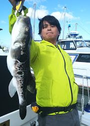 釣り舟 海竜 釣果