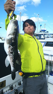 釣り舟　海竜 釣果