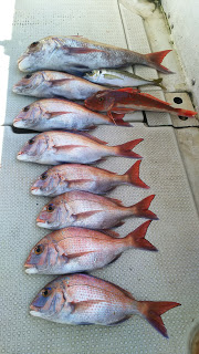 釣り舟　海竜 釣果