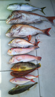 釣り舟　海竜 釣果