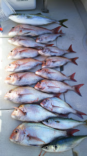 釣り舟　海竜 釣果