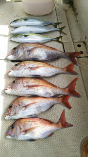 釣り舟　海竜 釣果