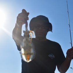 Fisherman Dreams DI 釣果