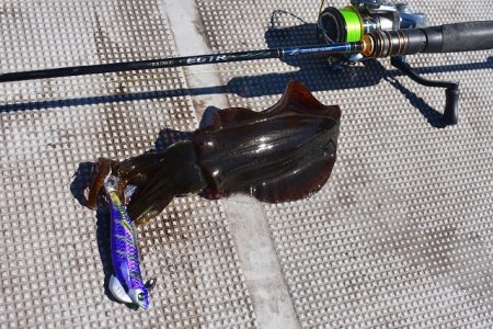 Fisherman Dreams DI 釣果