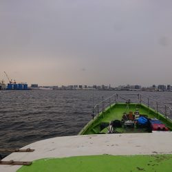 深川 吉野屋 釣果