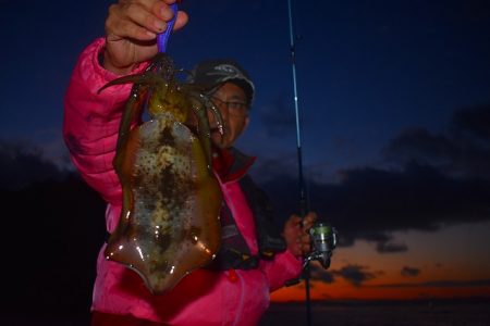 Fisherman Dreams DI 釣果