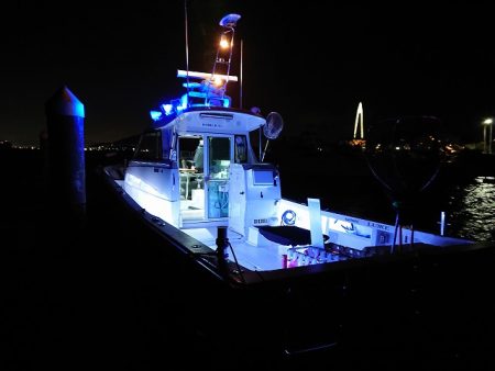 フィッシングボートACE(エース) 釣果