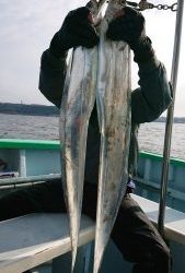 KONAYAーMARU(こなや丸) 釣果