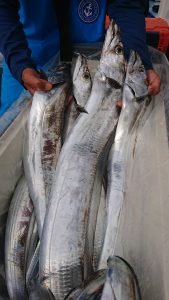 ＫＯＮＡＹＡｰＭＡＲＵ（こなや丸） 釣果