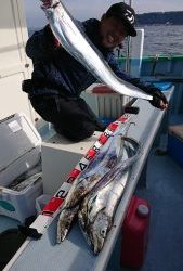 KONAYAーMARU(こなや丸) 釣果