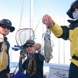 フィッシングボートACE(エース) 釣果