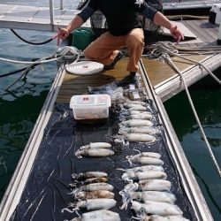 フィッシングボートACE(エース) 釣果