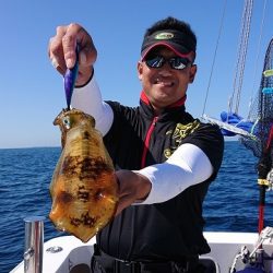 フィッシングボートACE（エース） 釣果