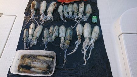 フィッシングボートACE(エース) 釣果