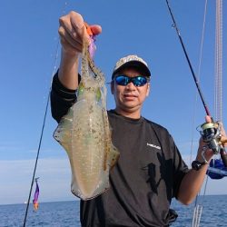 フィッシングボートACE(エース) 釣果