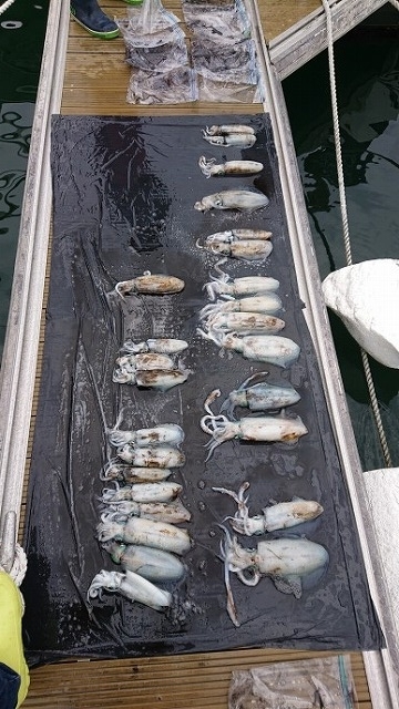 フィッシングボートACE(エース) 釣果