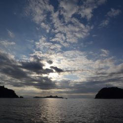 アジアマリンサービス 釣果