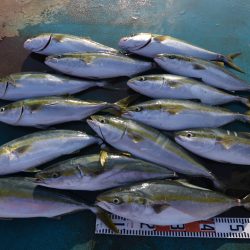 アジアマリンサービス 釣果