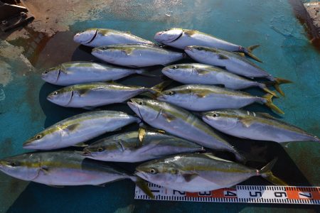 アジアマリンサービス 釣果