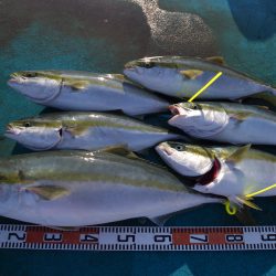 アジアマリンサービス 釣果