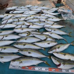 アジアマリンサービス 釣果