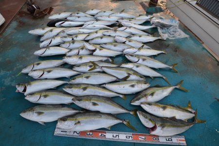 アジアマリンサービス 釣果