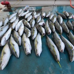 アジアマリンサービス 釣果