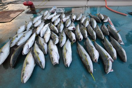 アジアマリンサービス 釣果